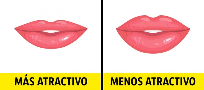 -estas-son-las-8-caracteristicas-fisicas-comprobadas-por-los-cientificos-que-atraen-a-los-hombres-003