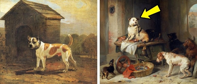 estas-son-las-8-razas-desaparecidas-de-perros-que-no-se-han-conservado-ni-siquiera-en-fotos-001