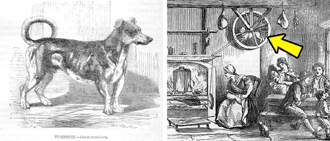 estas-son-las-8-razas-desaparecidas-de-perros-que-no-se-han-conservado-ni-siquiera-en-fotos-002