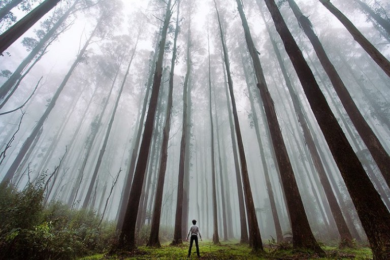 las-19-increibles-fotos-que-demuestran-que-eres-un-grano-de-arena-en-este-mundo-000