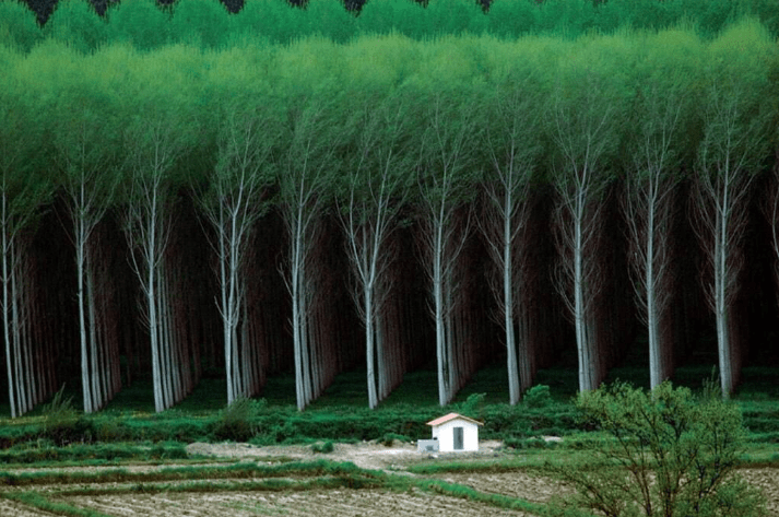 las-19-increibles-fotos-que-demuestran-que-eres-un-grano-de-arena-en-este-mundo-0017