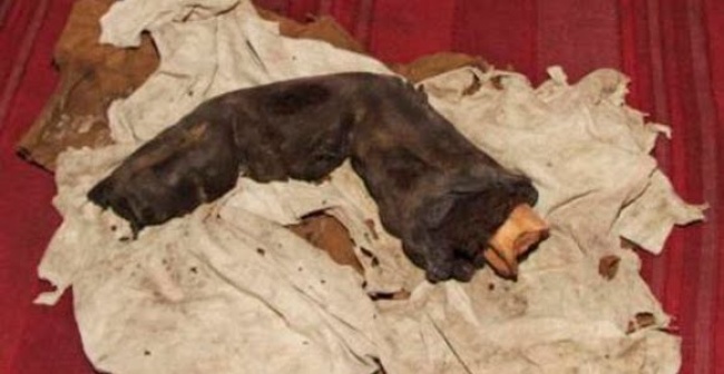 las-8-misteriosas-fotografias-captaron-cosas-imposibles-de-creer-001